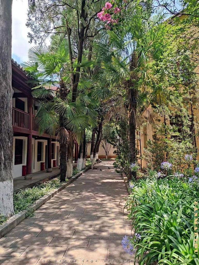 Kunming - Universite du Yunnan (23).jpg